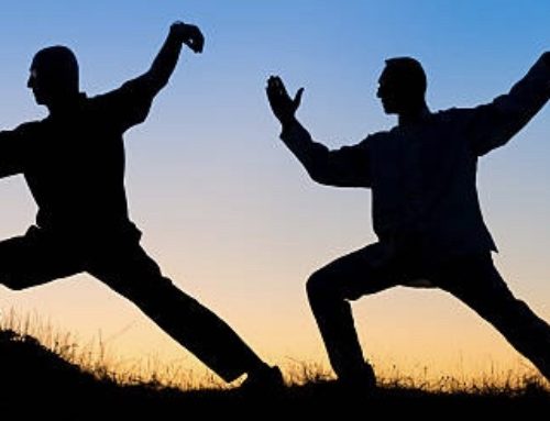 Tai Chi Workshop